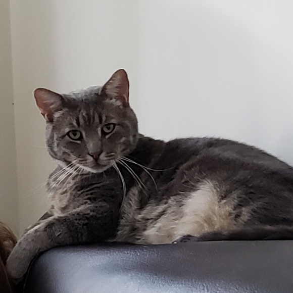 Meet your Posher, Brooke - Picture 3 of 8